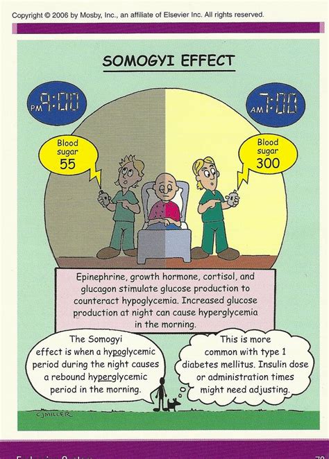 Dawn Phenomenon Somogyi Effect Ed Notes