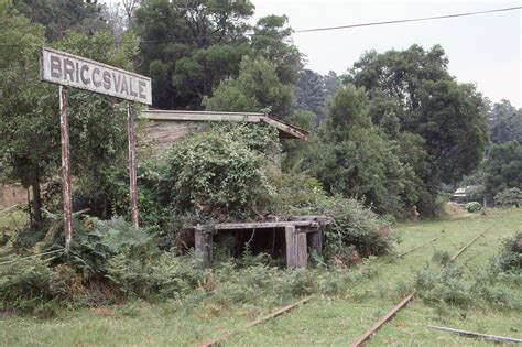 james murphys collection  briggsvale railway station   dorrigo