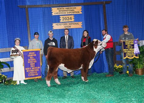 The Pc World Currys Hereford store has a hidden clearance section 12