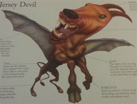 Image Jersey Devil Mythical Monsterspng Non Alien Creatures Wiki