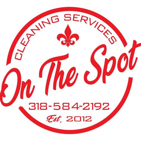 Professional Home Cleaning Services On The Spot Cleaning