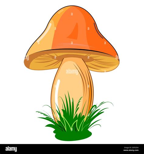 Mushroom Isolated On White Background Cute Cartoon Style Beautiful