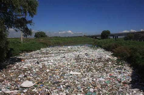 Ser Irreversible El Da O Causado Al Ambiente Diario Puntual