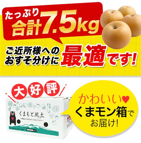 【楽天市場】【今だけ2222円⇒1999円】梨 なし 福岡農園 ナシ 秋月 あきづき 吉野梨 15kg前後 3～5玉 送料無料 熊本県産