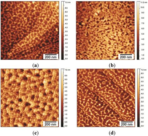 Fungal Hydrophobin Proteins Produce Self Assembling Protein Films With Diverse Structure And