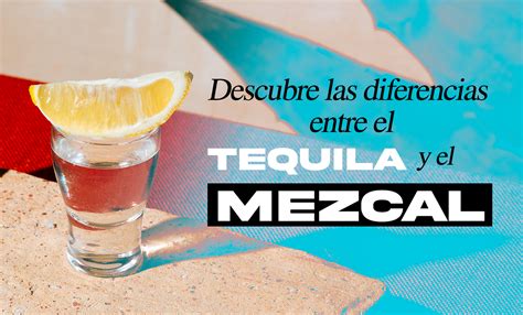 Diferencias Entre Tequila Y Mezcal Descubre Las Claves