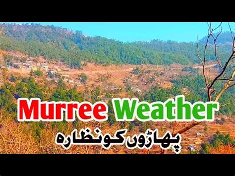 Murree Today Weather Murree Live Today Murree Expressway Weather