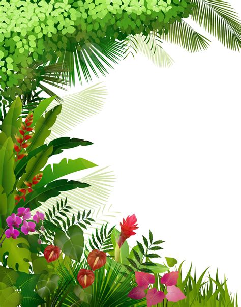 Plant tropical on isolated background.vector 6133419 Vector Art at Vecteezy