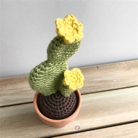 Crochet Cactuscrochet succulents-potted plant-faux | Etsy