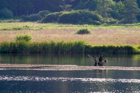 Maare Urlaub Wandern Natur Und Geopark Vulkaneifel