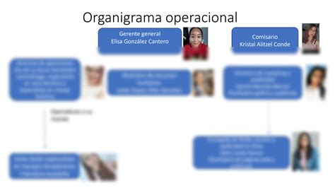 Solution Organigrama Empresa Studypool