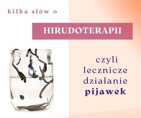 Pijawki Lecznicze Hirudoterapia Oferta Nr Oferteo Pl