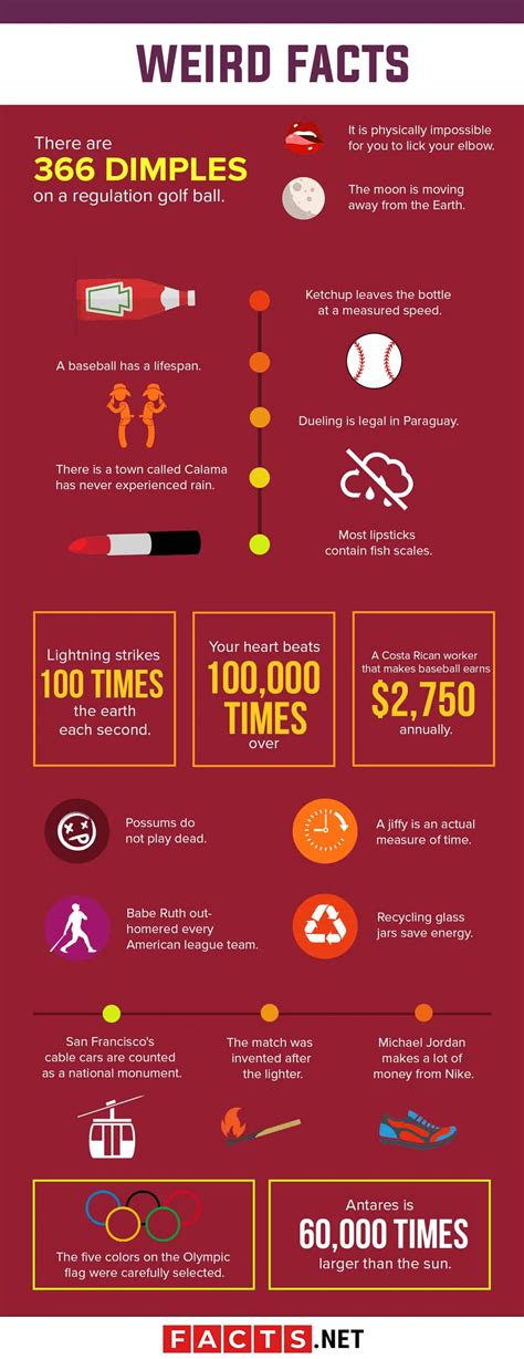 Top Ten Weird And Wonderful Facts at Katherine Shelton blog