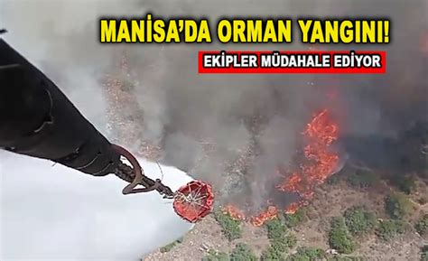 MANİSADA ORMAN YANGINI EKİPLER MÜDAHALE EDİYOR