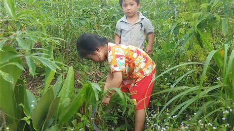 Amazing Cute Boy Vs Funny Baby Cutting Natural Grass For Cows 🐄🤩😂