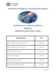 Pa Neuropsicolog A Grupo Pdf Producto Acad Mico N Evaluaci N