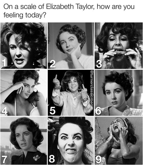 On A Scale Of Elizabeth Taylor How Are You Feeling Today 🖤 🖼