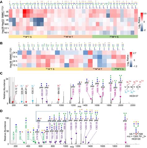 Site Specific Glycan Profiling Of Highly Core Fucosylated Folr1 A