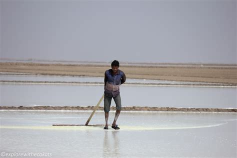 Salt pans of Little Rann of Kutch - Explore with Ecokats