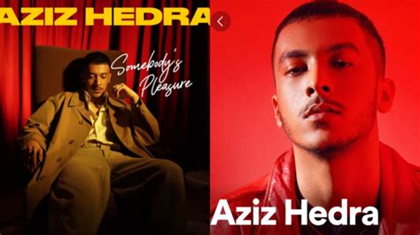 Lirik Lagu Somebodys Pleasure Aziz Hedra Soul Try To Figure It Out