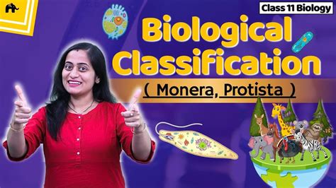 Biological Classification Class 11 Biology Ncert Chapter 2 Cbse Kingdom Monera And Protista