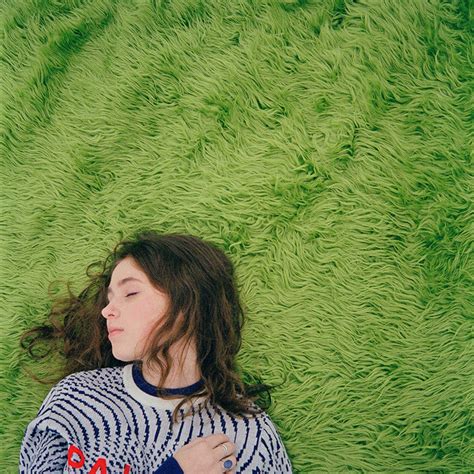 Clairo Diary 001 Music Album Cover Canvas Poster Etsy