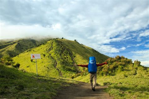 Mendaki Gunung Merbabu Wisata Gunung Murah Arocki