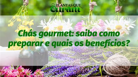 Chás gourmet saiba como preparar e quais os benefícios