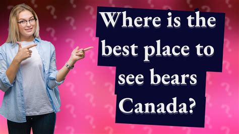 Where Is The Best Place To See Bears Canada Youtube