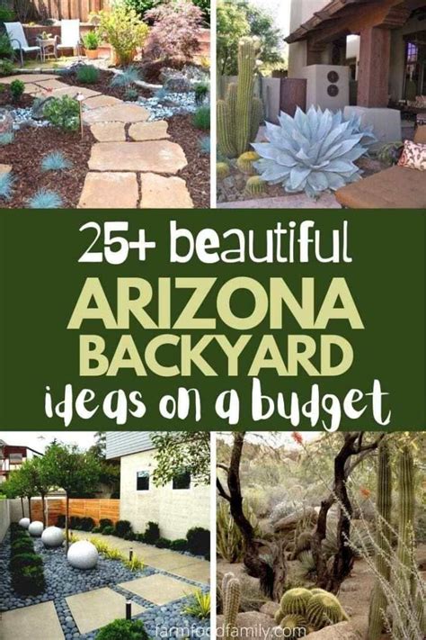 25 Awesome Arizona Backyard Landscaping Ideas On A Budget 2024 Arizona Backyard Landscaping