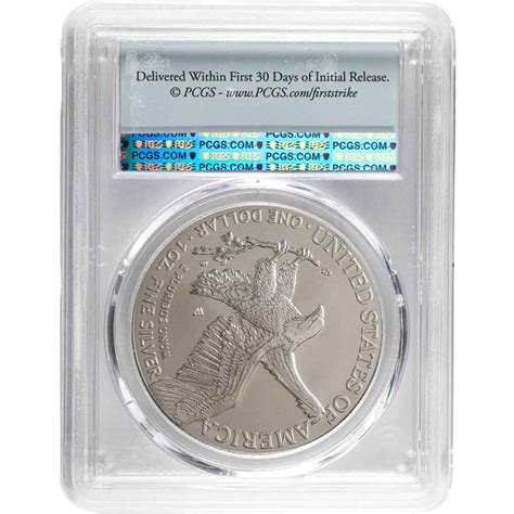 2023-W Burnished American Eagle Silver Coin PCGS SP70 FS - Provident ...