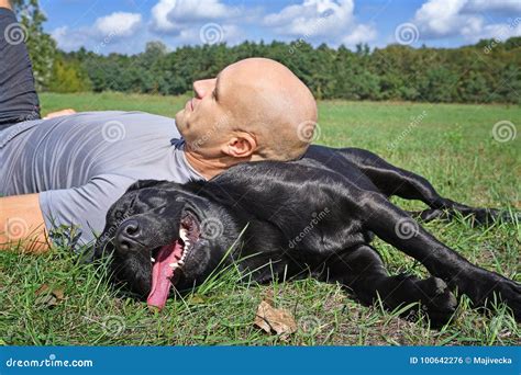 Man With Black Dog Stock Photo Image Of Recreation 100642276