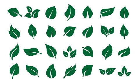 Green Leaf Icons Set Bundle Set Of Green Leaf Icons Green Color