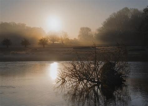 Premium Photo | Foggy sunrise over a lake