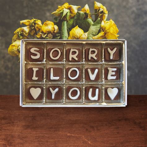 I Am Sorry Gift for Women Apology Gifts for Her I'm Sorry Gifts for ...