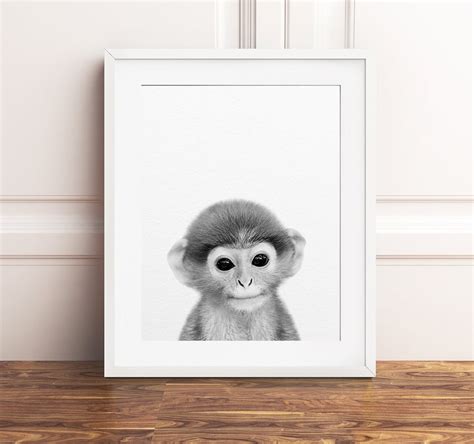 Monkey Print Baby Animal Wall Art African Jungle Animal | Etsy