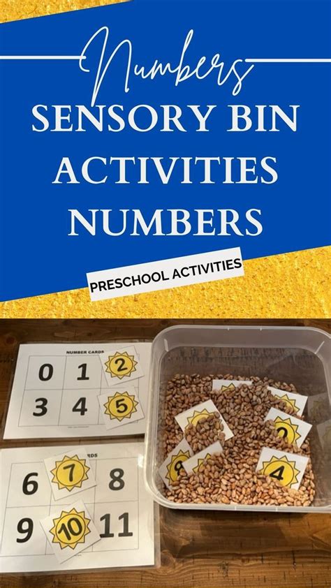 Numbers 1 20 Sensory Bin Activities Preschool Special Education