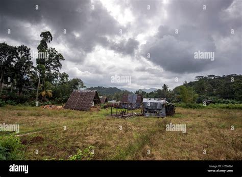 Gem Mining, Sri Lanka Stock Photo - Alamy