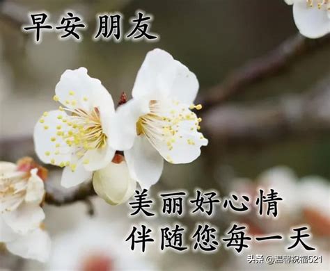 【祝福语句】微信星期四清晨暖心问候祝福语句，最美的周四祝福文字图片精选 兰斯百科