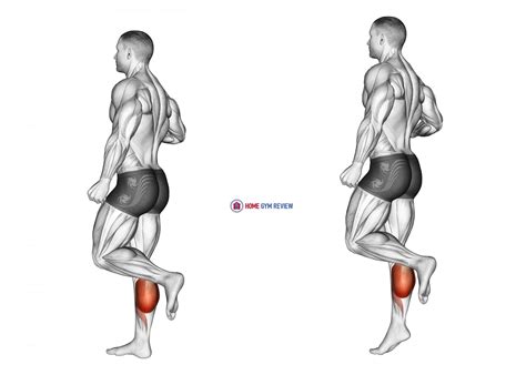 One Leg Floor Calf Raise Home Gym Review