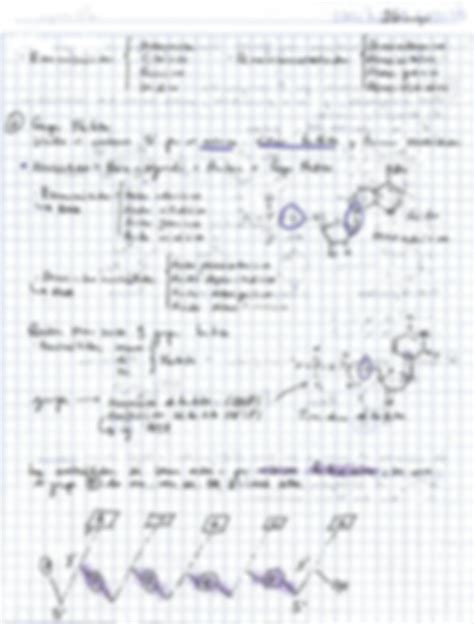 Solution Acidos Nucleicos Studypool