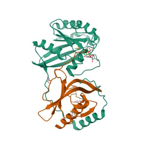 Rcsb Pdb 7mo0 Crystal Structure Of Nucleoporin Nup50 Ran Binding