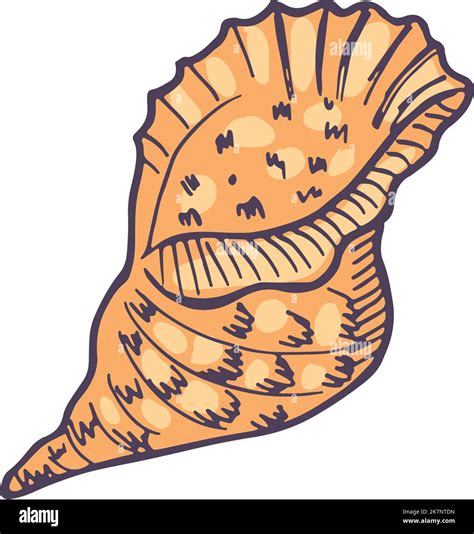 How To Draw A Conch Shell