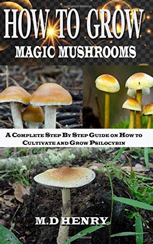 Buy How To Grow Magic Mushroom A Complete Step By Step Guide On How To Cultivate And Grow