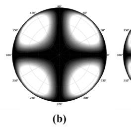 Iso Luminance Contours Of The Dark States For Compensation Schemes