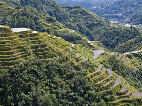 incredible nature  wildlife spots   philippines
