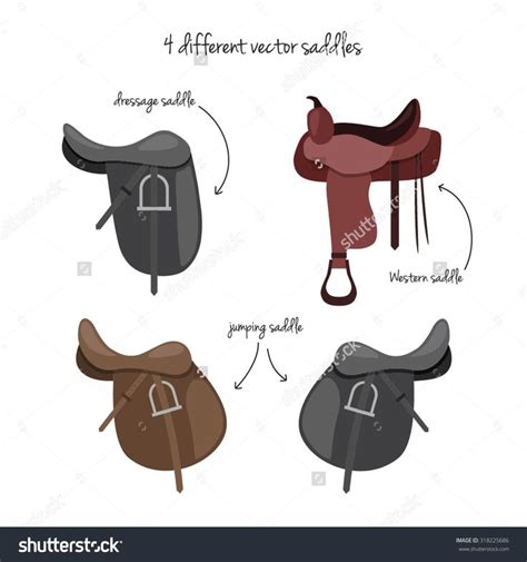 saddle types | Camping materials, Saddles, Equestrian