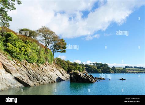 The Helford River At Trebah Near Mawnan Smith In Cornwall England