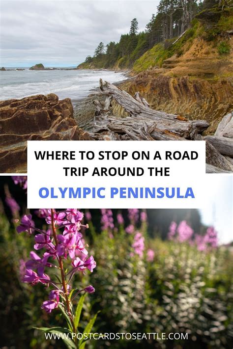 How To Plan The Perfect Olympic Peninsula Road Trip 2024 West Coast