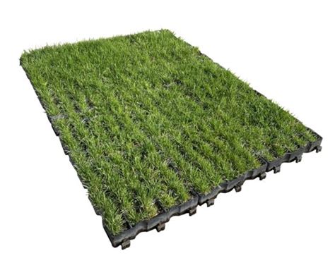 Dalle Pr Engazonn E Ecoraster Ecovegetal Green Ecovegetal